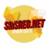 smsreg